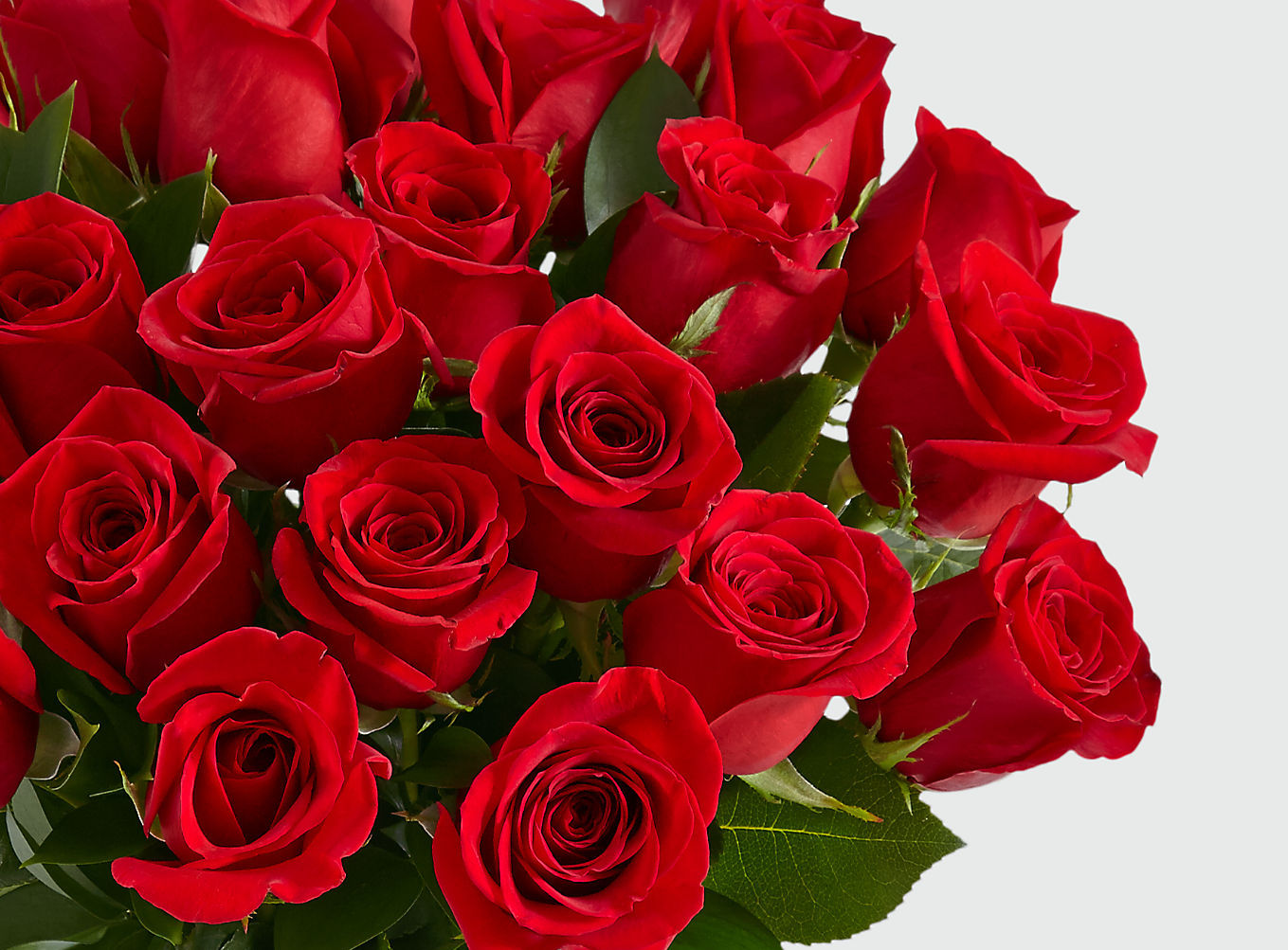 Two Dozen Long Stemmed Red Roses - Image 2